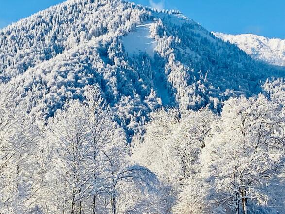 Blick zum Wallberg