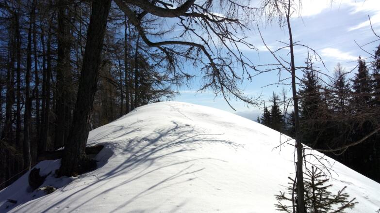 auf der Gipfelkuppe wenige m nach Osten