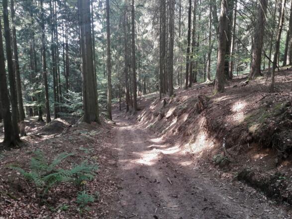 Baierweg nach Obermühlbach