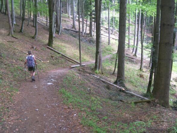 Querung zur Schönalm