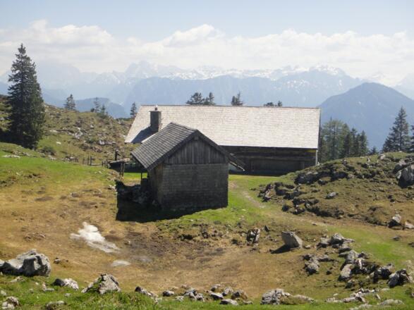 Blick über die Kohler Alm zu Watzmann, Hochkalter, Reiter Alpe und Birnhorn