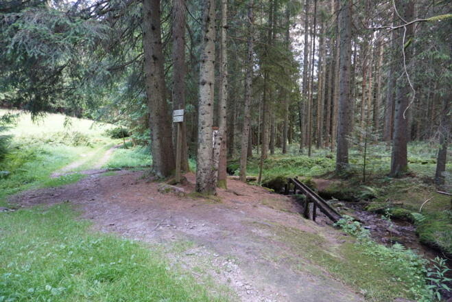 Wegabschnitt am Riedbach