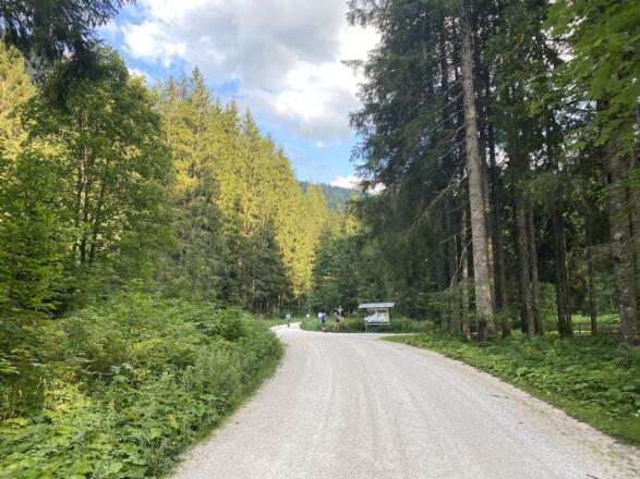 Wegkreuzung mit der Aufstiegssroute von Hammerstiel