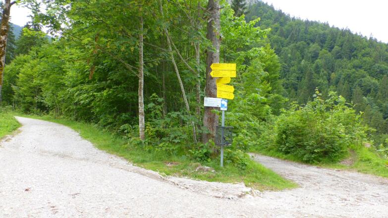 Hier rechts runter zur Fischfarm oder Siebenhütten, links geht es mit dem Rolli nicht mehr weiter. Vorsicht etwas steiler, leicht schräg, Wurzeln und Steine!