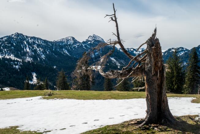 Tolle Ausblicke zu Breitenstein, Wendelstein und Schweinsberg