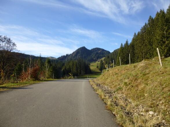 Blick auf Grauer Stein und Tennenmooskopf