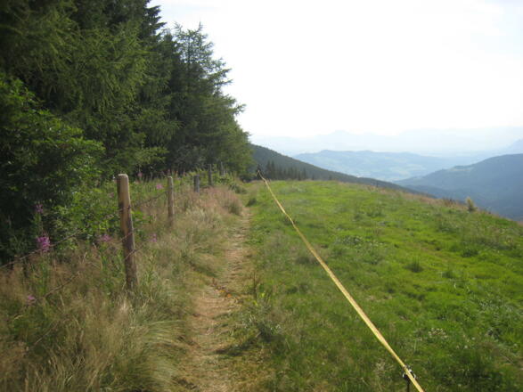 Wenn der direkte Weg abgesperrt ist, geht's hier um die Wiese zur Stoißer Alm