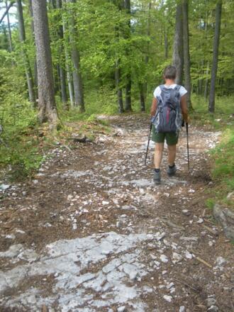 Abstieg zur Erentrudisalm