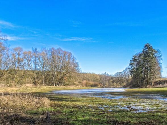 Im Schwarzachtal, Winterausklang