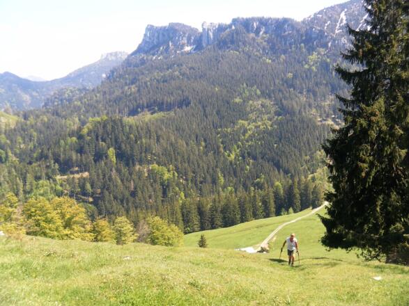 Gedererwand vom Anstieg zum Haindorfer Berg