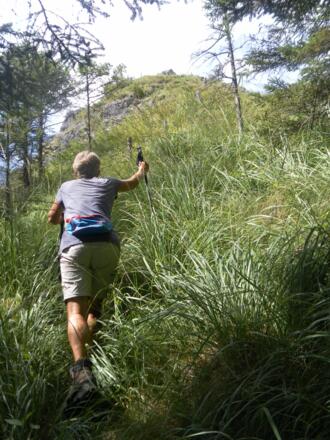 steiler Hochgrashang zum Sattel