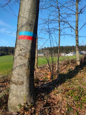 Markierung