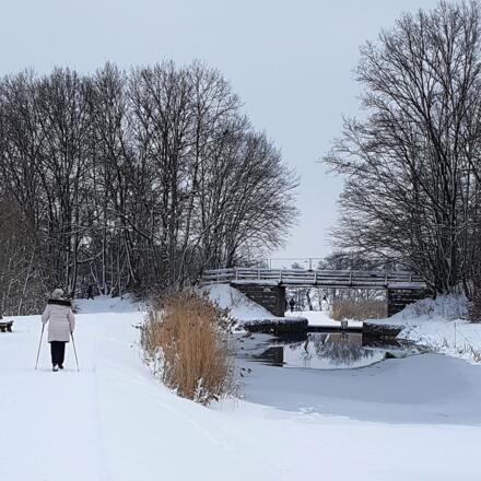 Ludwigskanal im Winter