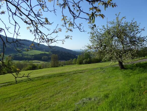 Bei uns ist es einfach schön...