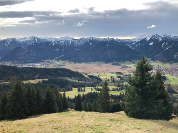Moor zwischen Ober- und Unterammergau und Zugspitze