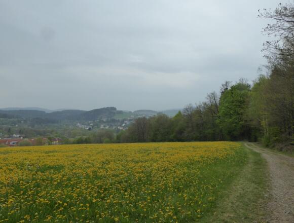 Blick auf Bad Kötzting