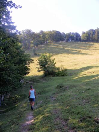 Abzweig bei der Hofalm