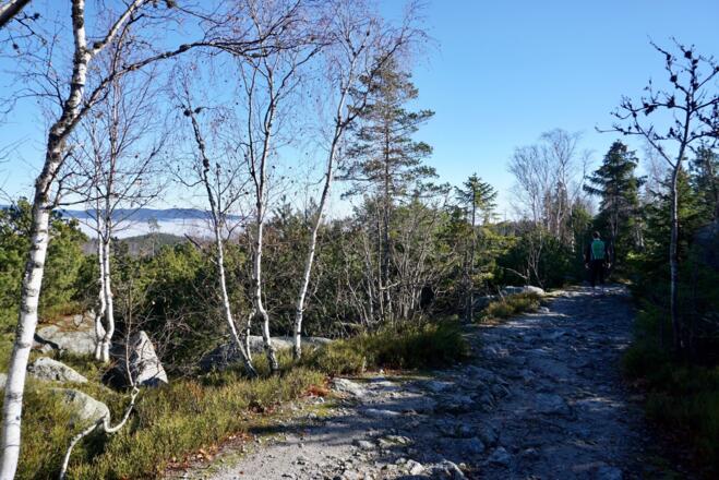 Weg nach dem Plöckensteinsee