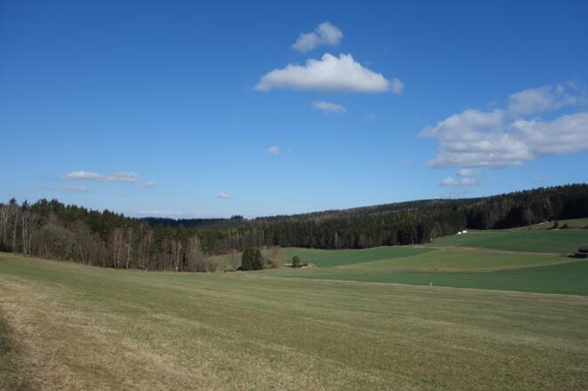 Aussicht bei Wildstein