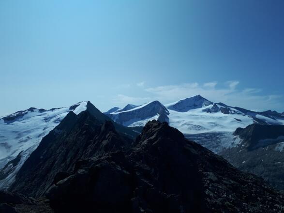 Großvenediger von der Habachspitze aus