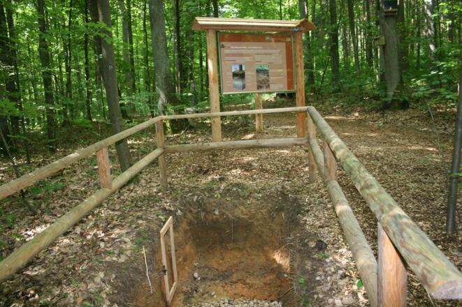 Station 3: Die Braunerde - Tafel mit Bodenprofil