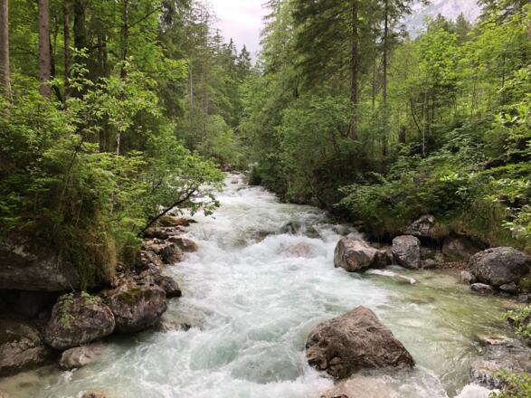 Hintersee Ache im Zauberwald