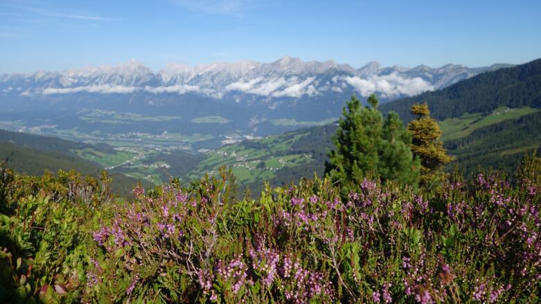 Inntalblick