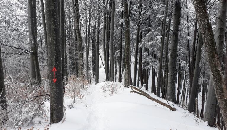 Abstieg zum Sattel vor Ochsenkogel, ~900m