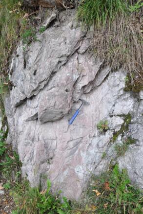 Leimern-Schichten des Ultrahelvetikum