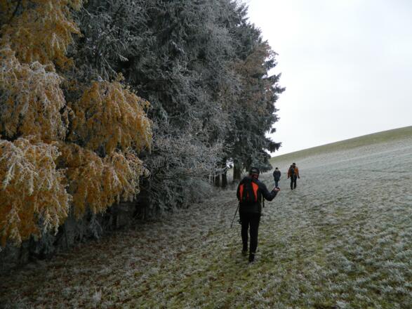 Aufstieg am Waldrand