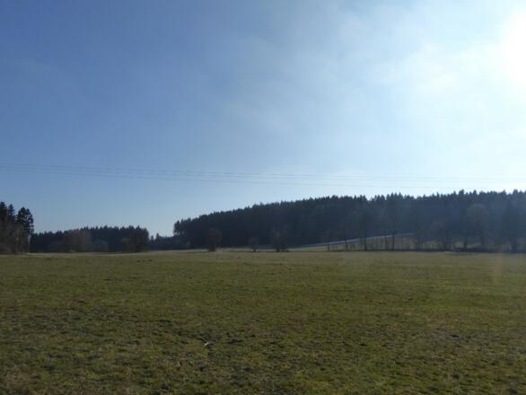 Rundblick kurz vorm Schiederhof