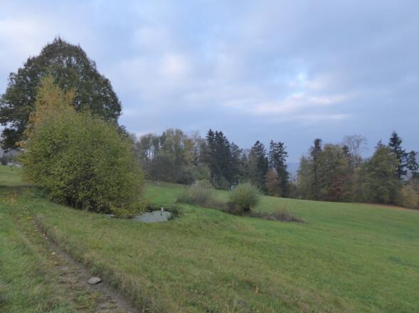 beim Gallnerkirchlein