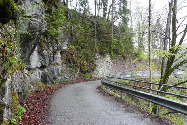 Alpiner Muschelkalk (links) - Überschiebungsbahn - Oberjura-Gesteine (rechts)