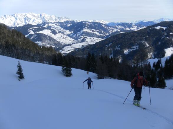 Almwiesenanstieg mit Hochkönigblick