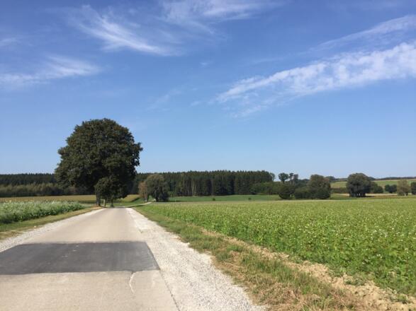 Von Rottbach Richtung Prack