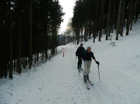 Zweiter Aufstieg durch den Wald