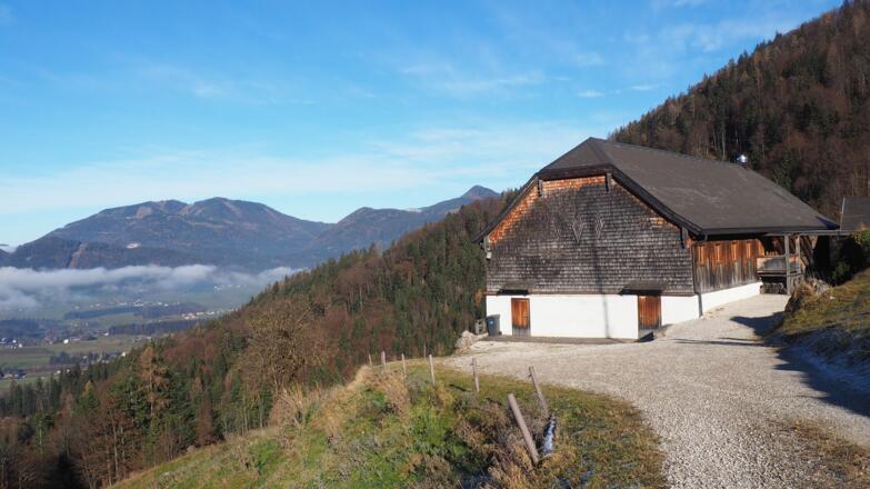 Laimer Alm 783m