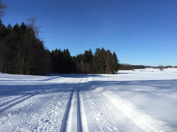 Unten an der Bundesstraße kommt die Wendestelle. Fortsetzung Kleinhartpenning nicht möglich.