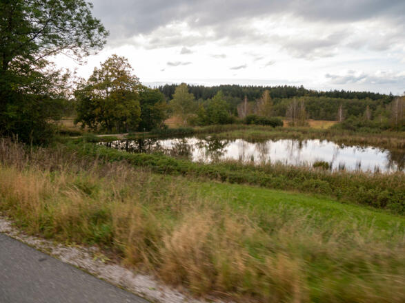 Mitterweiher