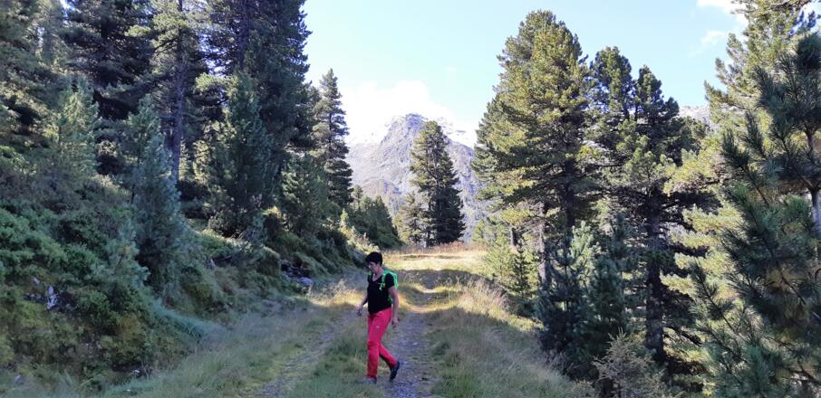 Zweimal wird ein Forstweg gequert.