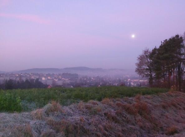 Blick im Morgengrauen zurück auf Neunburg
