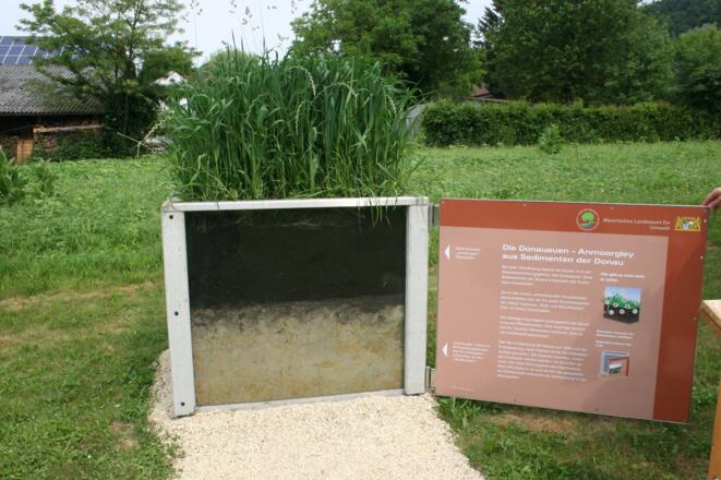 Station 2: Donau - Anmoorgley