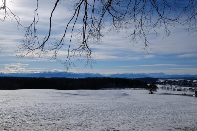 Durch die schöne Lindenallee