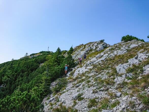 Abstieg vom Aiplspitz über die Südostseite