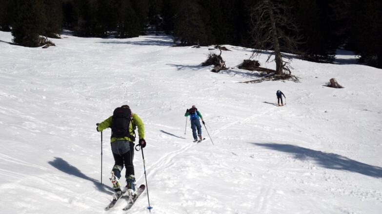 am dürren Baum vorbei und links zum Kamm (~1600 m)