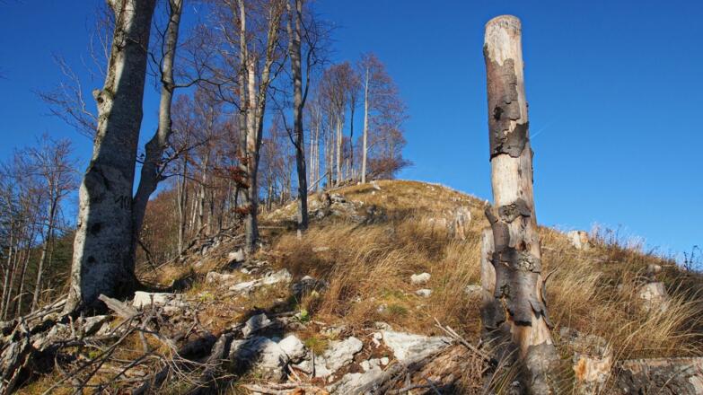 Am Kamm hoch zum Ennsberg