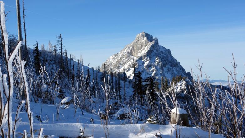 Traunsteinblick ~1350m