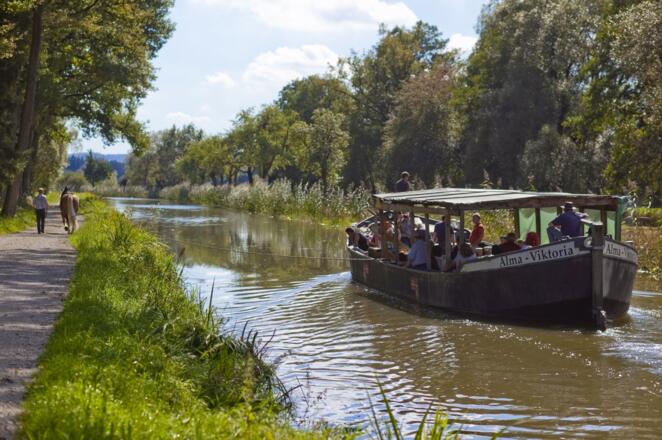 Mühlhausen, historische Treidelfahrt