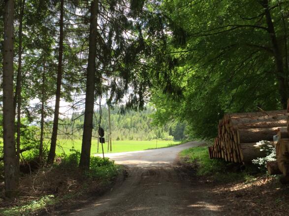 Hier rechts abbiegen Richtung Egenried