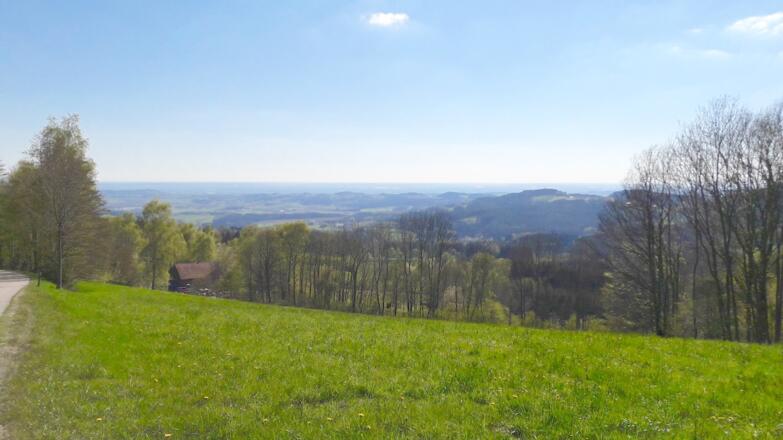 Blick zur Donauebene vor Vornwald